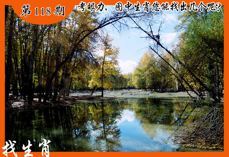 119期:图片正在更新...