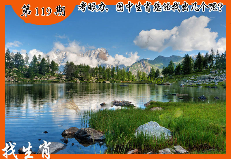 119期:图片正在更新...